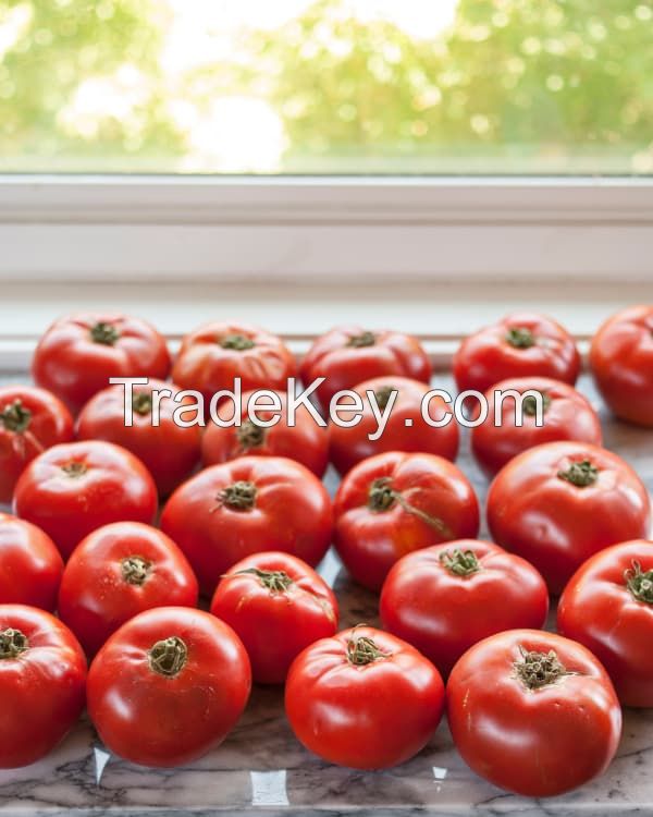 Fresh Tomatoes, FRESH ORGANIC TOMATO and Fresh Red Tomato, Fresh Green Tomatoes