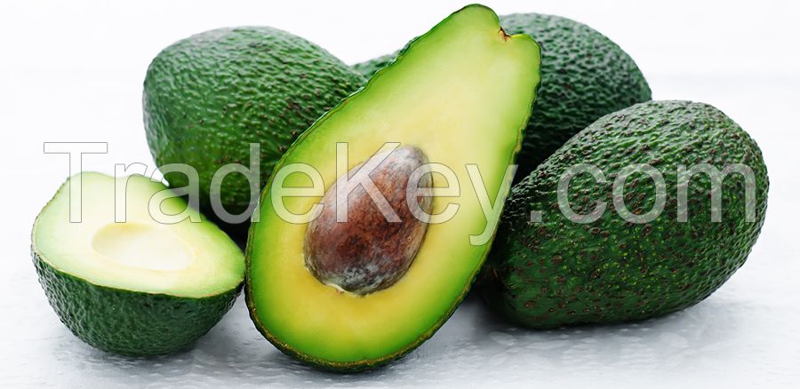 Fresh Hass Avocado