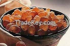 Gum Arabic