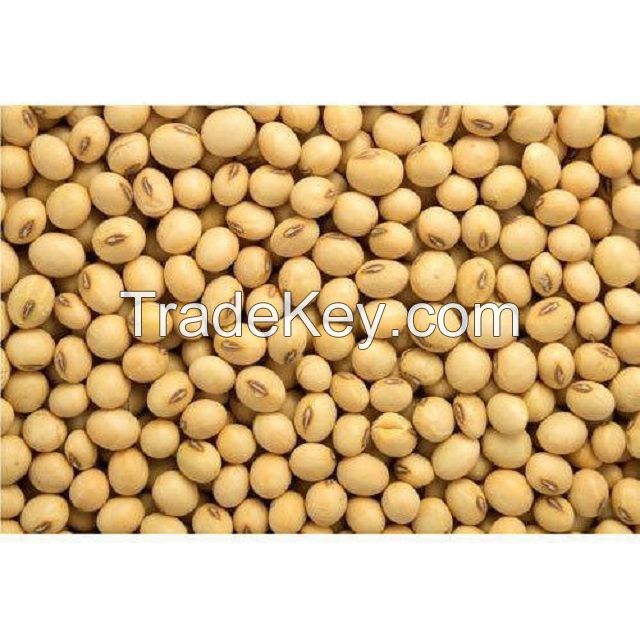 soybeans