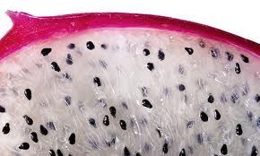 Dragonfruit 10:1 Extract