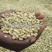 Colombia Decaf Coffee beans