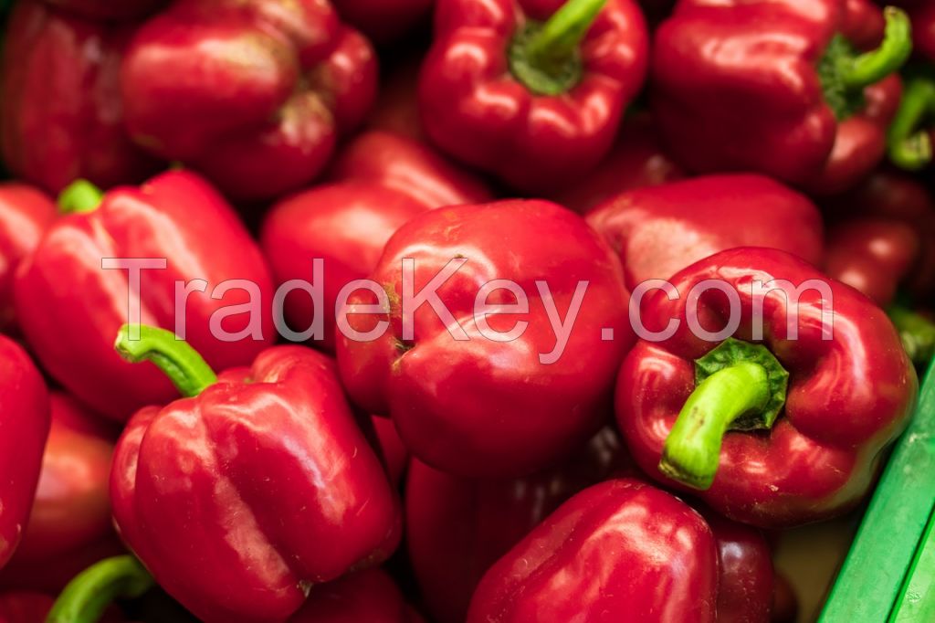 Red Pepper