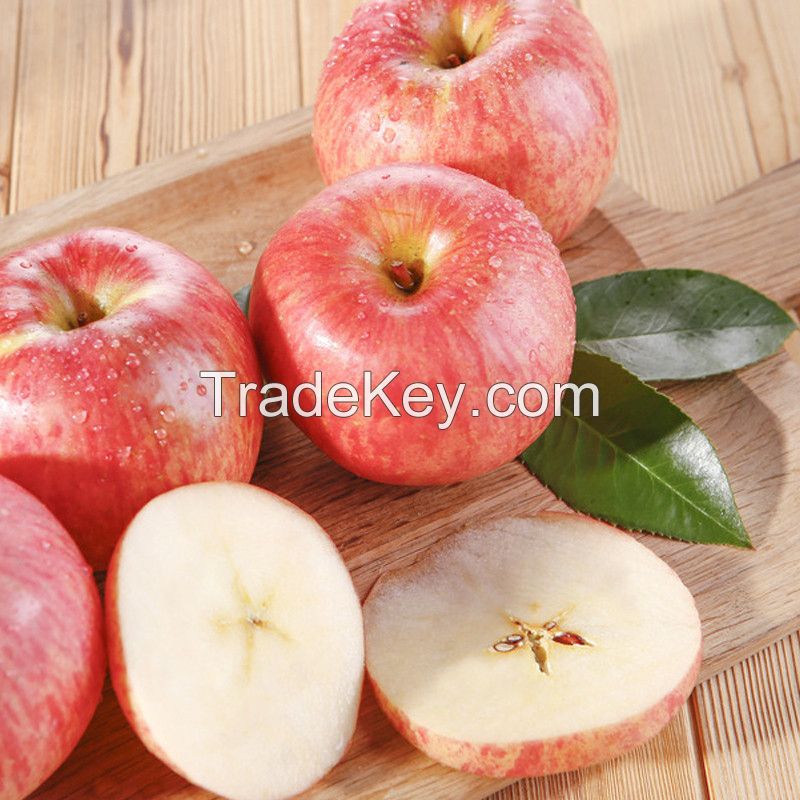 GRADE A ROYAL GALA APPLES / FUJI APPLES / RED APPLES / GOLDEN DELICIOUS APPLES FOR SALE