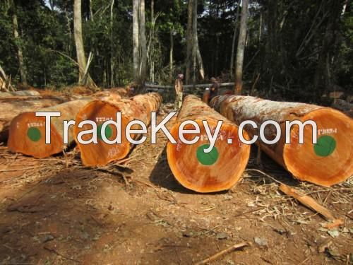 Sapelli  timber  logs and sawn lumbers