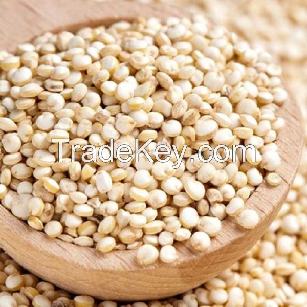 top quality Quinoa grains / Top Quality high protein Black Quinoa