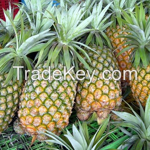 Grade A Fresh Pineapples