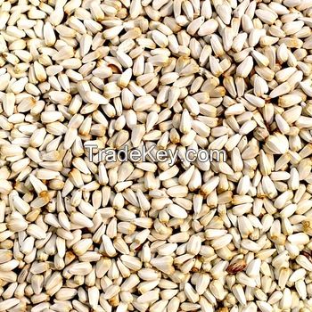 BEST QUALITY SAFFLOWER SEEDS