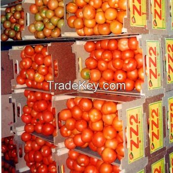 Fresh Cherry Tomatoes Fresh Tomatoes