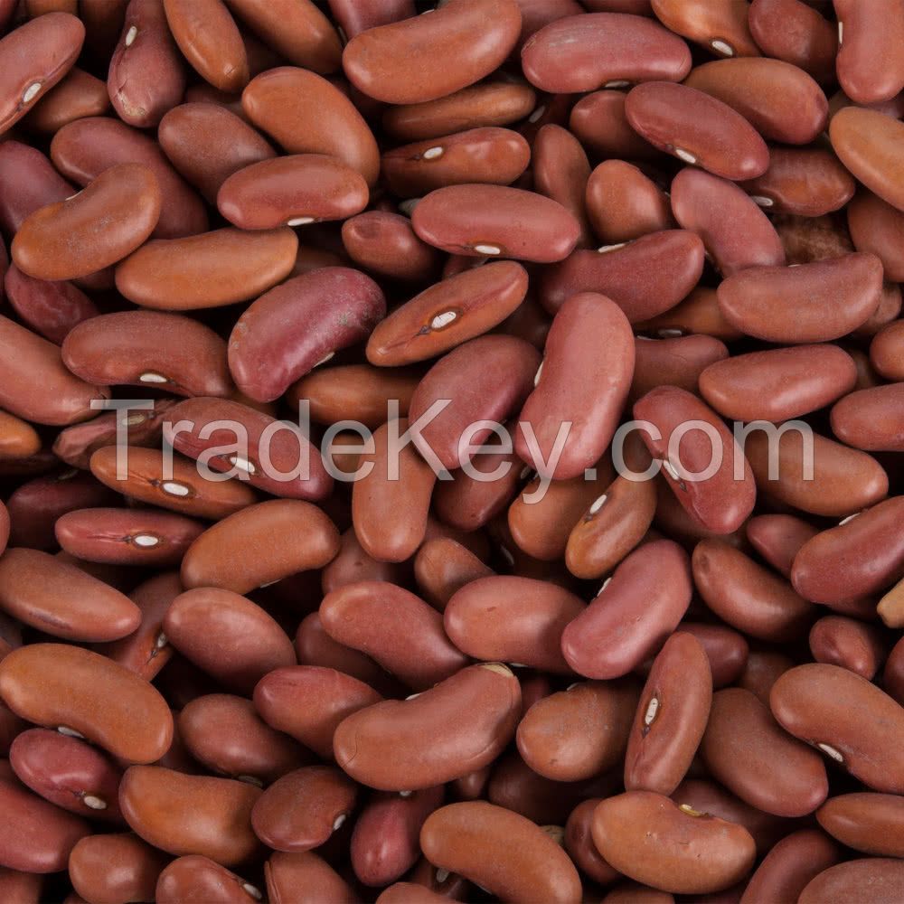 Best kidney beans for sale