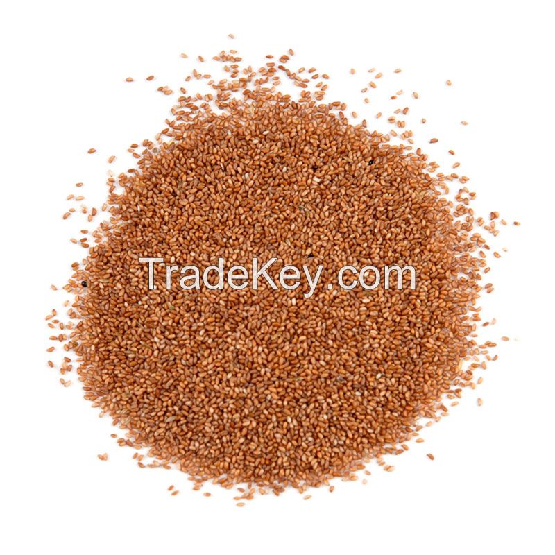 Good Teff Grains