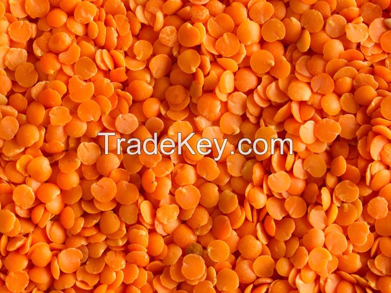 RED LENTILS