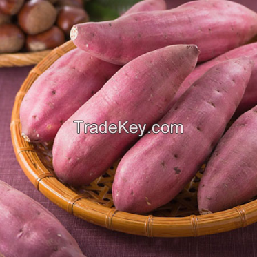 sweet potatoes