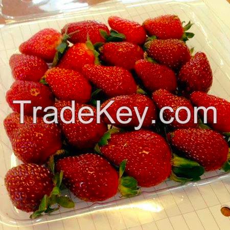 Fresh Strawberry, Strawberry Fresh Berries For Sale