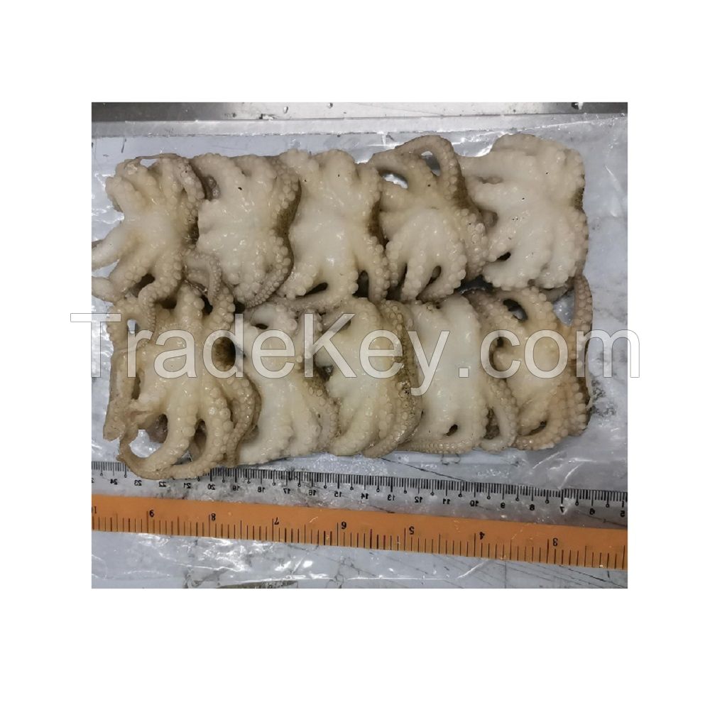 Frozen baby octopus