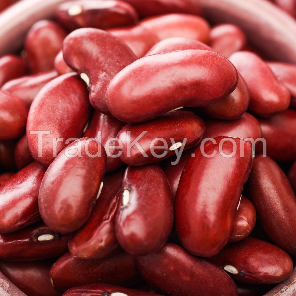 Kidney Beans