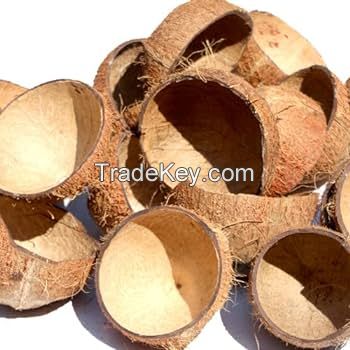 Raw Coconut Shell