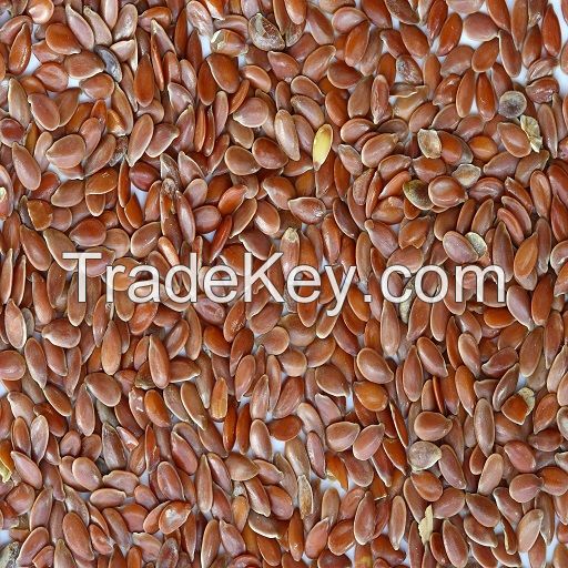 Natural Superior Quality Bulk Brown Flax Seed