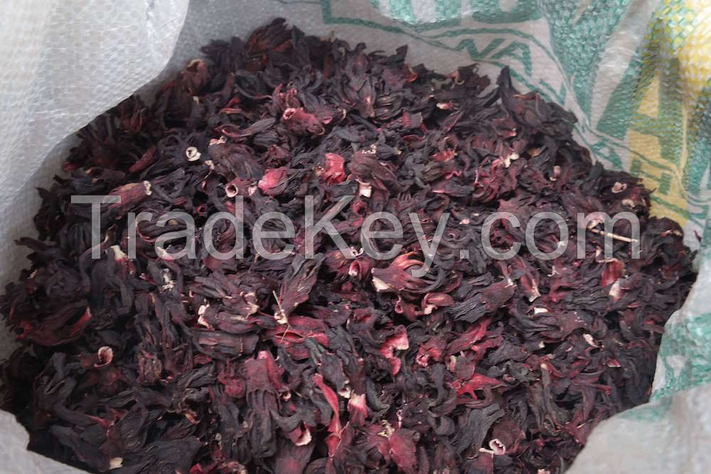 Dry Hibiscus Flower