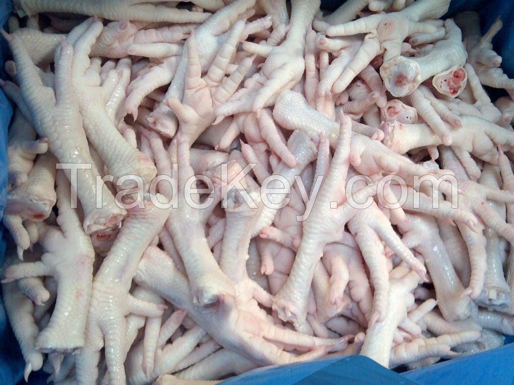 High Quality Grade A Broiler Chicken Feet Frozen Chicken Paws