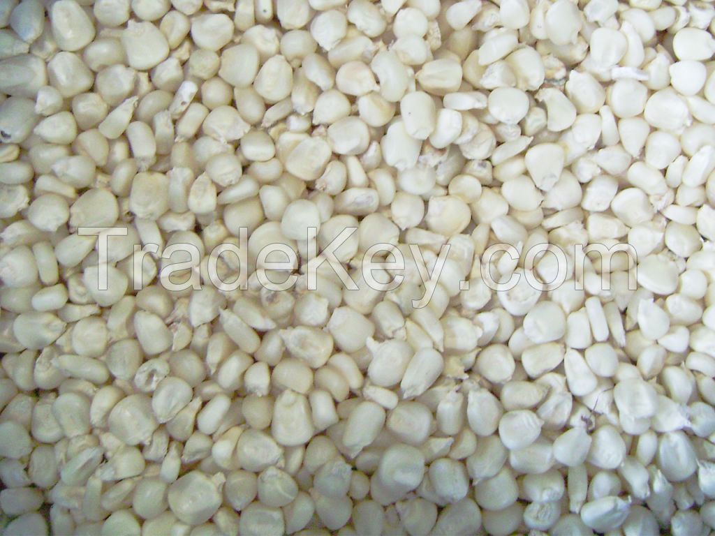 White Waxy Corn For Sale