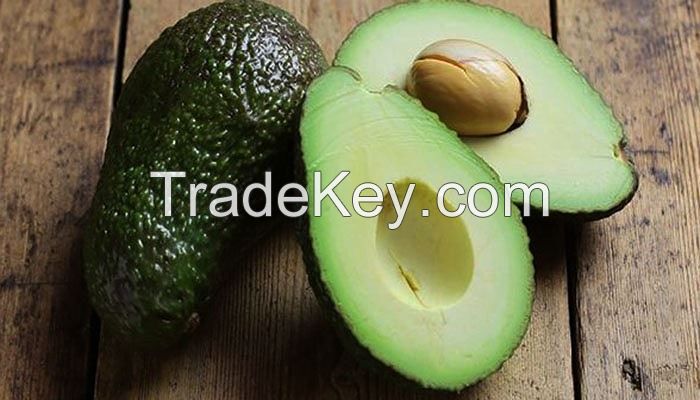 fresh healthy fruit avocado importers Shipping from Vietnam