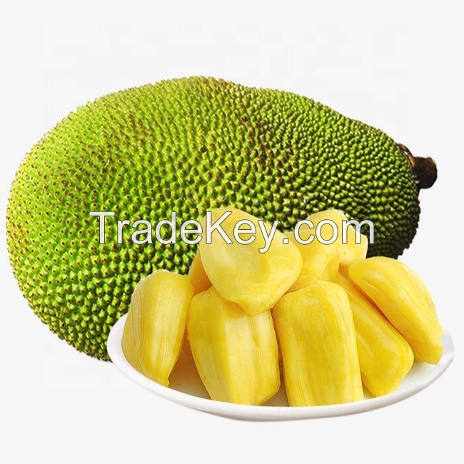 Wholesale High Quality Fresh Sweet Jackfruit