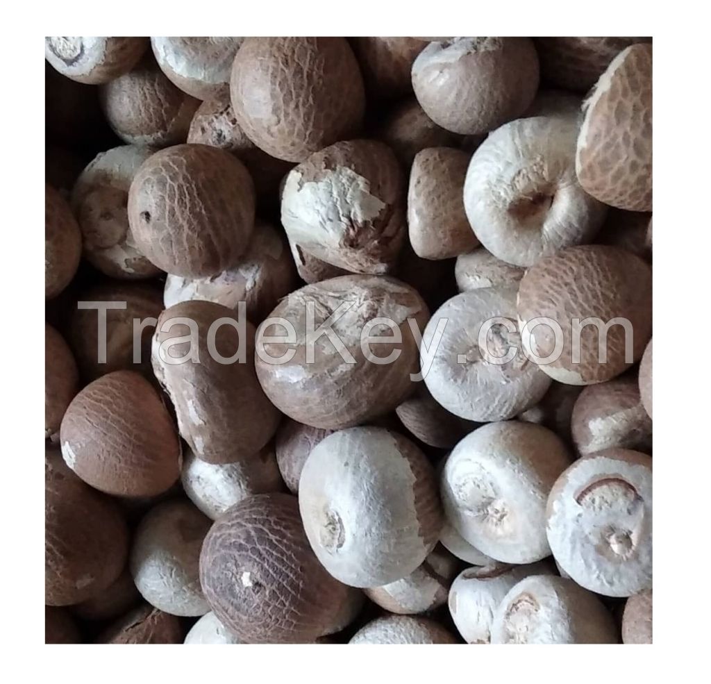 Dried betel nut high quality with cheap price.