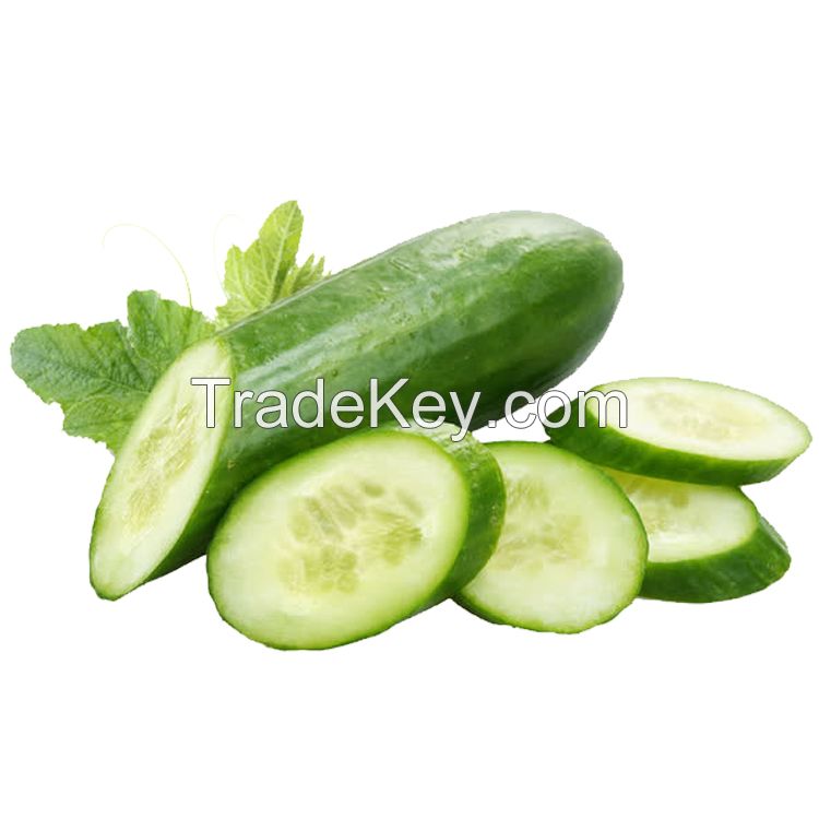 Fresh Cucumber