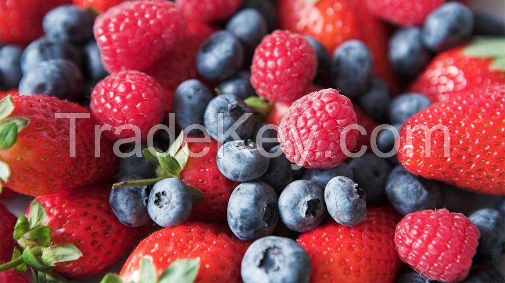 Fresh Berries