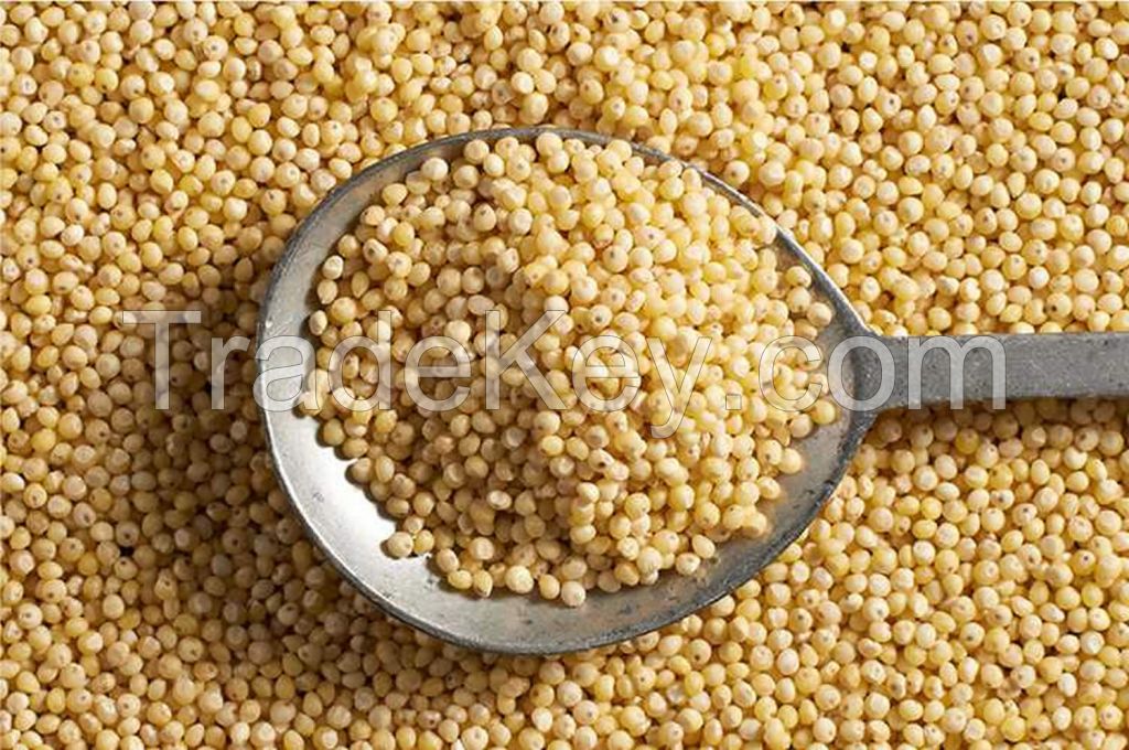 Millet