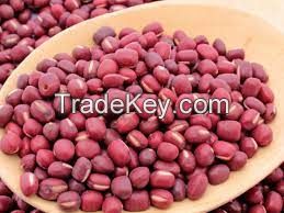 Organic Adzuki Beans