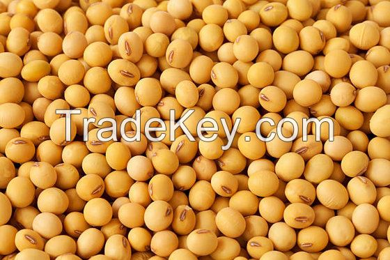 Soybeans