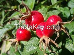 Pure Plant Extract Cosmetic Rosehip Essential