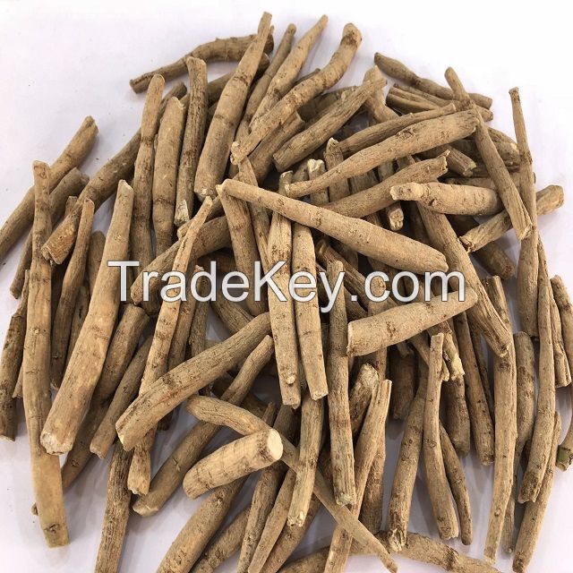 Indian Ginseng - Withania Somnifera - Ashwagandha Roots