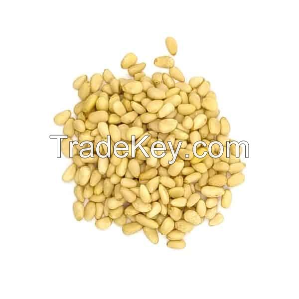 utah pine nuts for sale