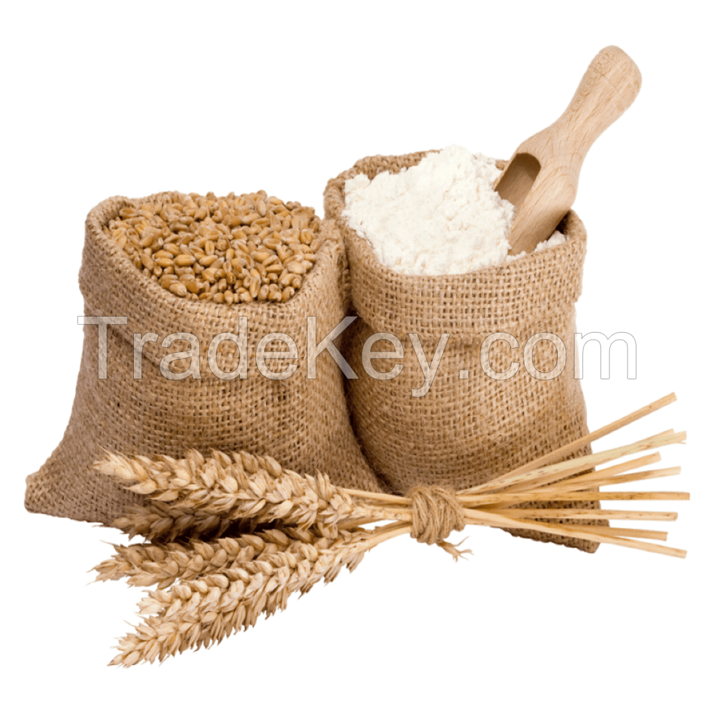 Wheat Flour