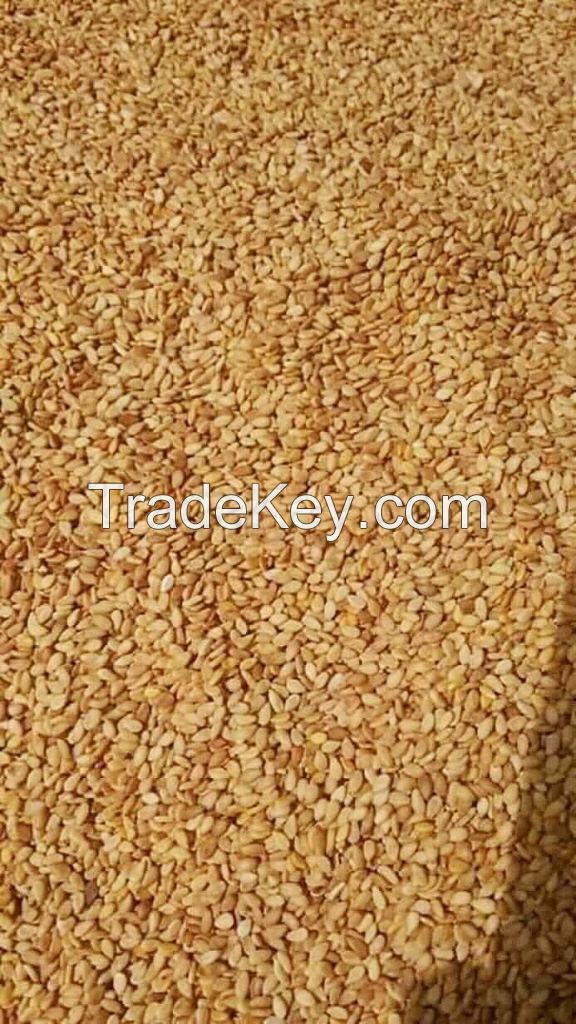 SESAME SEEDS FOR SALE