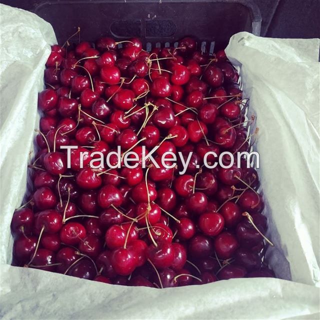 Hot Selling Cherries Supplier from South Africa