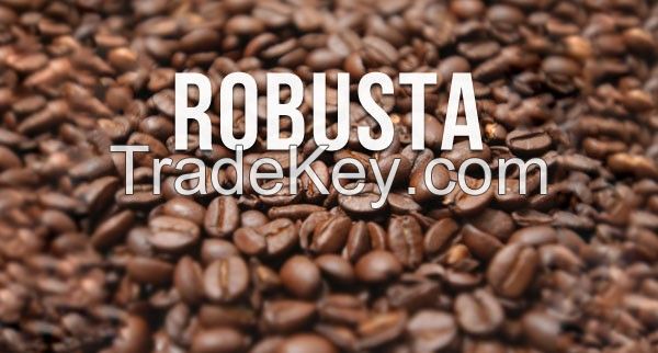 High quality Viet Nam Robusta coffee Beans