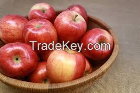 Fresh Apples