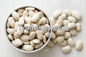 Bulk Dried Large White Kidney Beans Butter White Beans