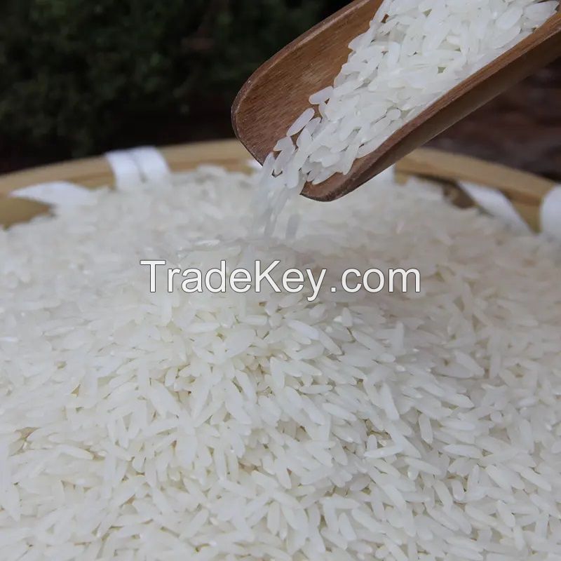 JASMINE RICE High Quality White Rice Long Grain White Rice