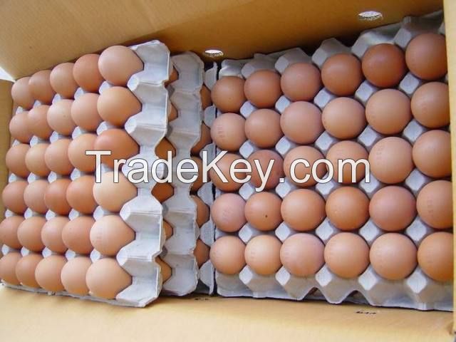 Sell Offer Chicken Eggs