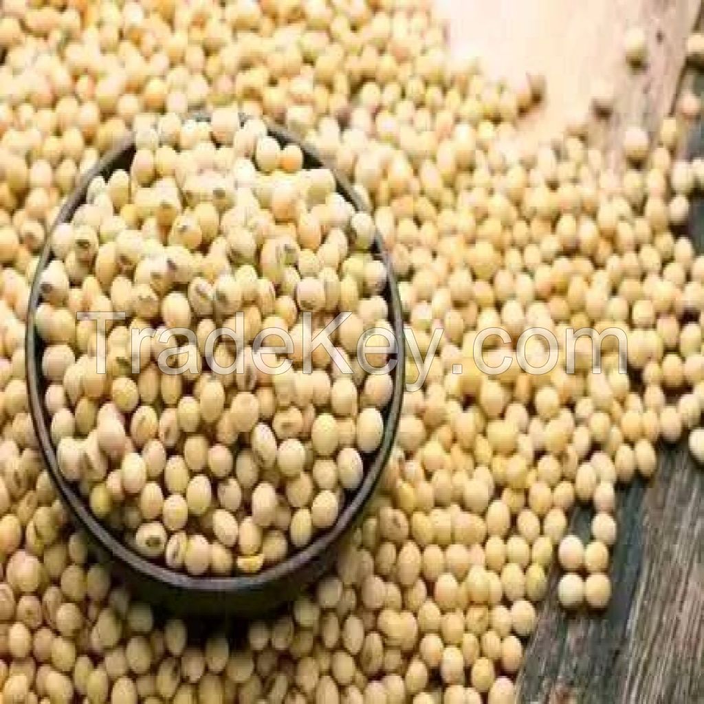 Soya Beans