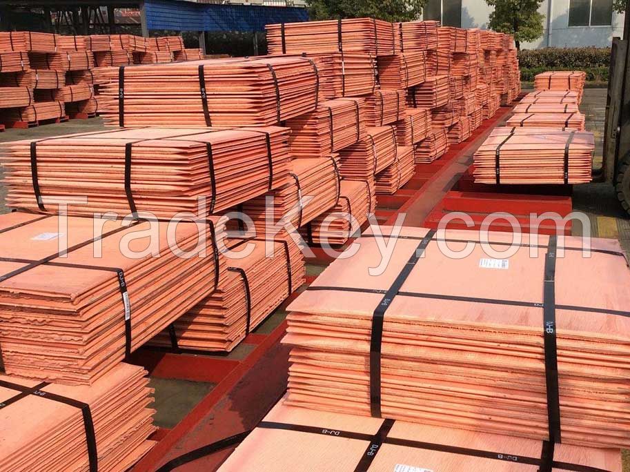 Quality Copper cathode for sale