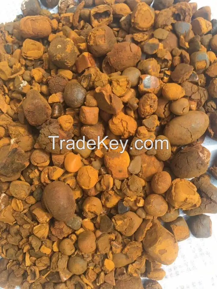 Ox Cow Gallstones / Cattle gallstones