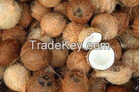 COCONUT SHELL