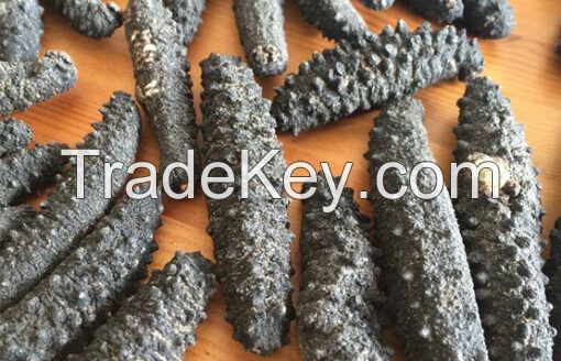 Dried Sea Cucumber for Sale