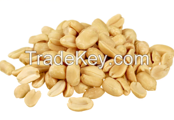 Wholesale Peanuts Organic Peanut Kernels Best Price Raw Peanuts Wholesale Raw Kernel Peanuts High Quality